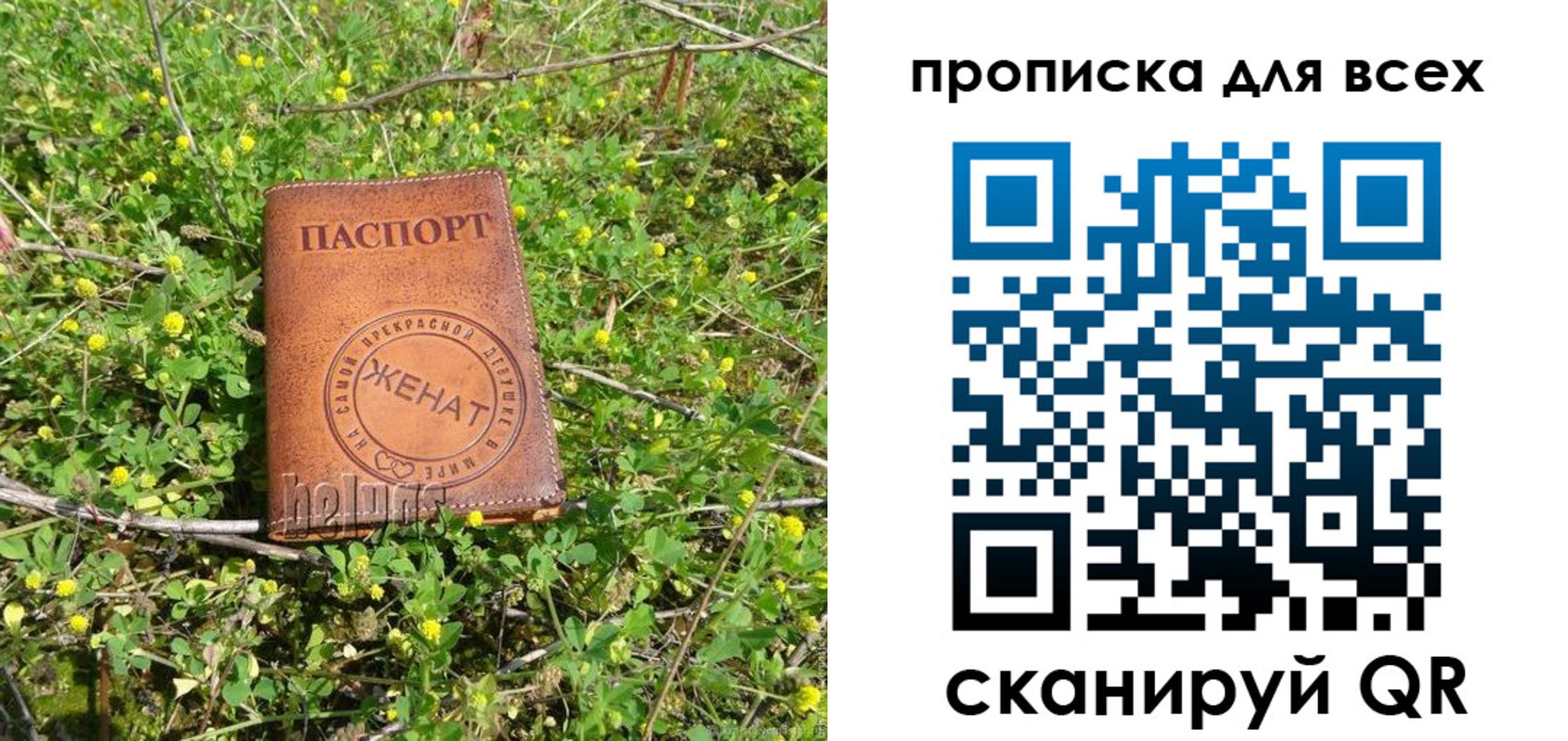 прописка поиск в Петров Вале